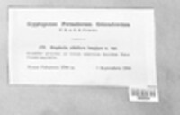 Image Associated With the Occurence